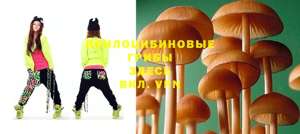 не бодяженный Волоколамск