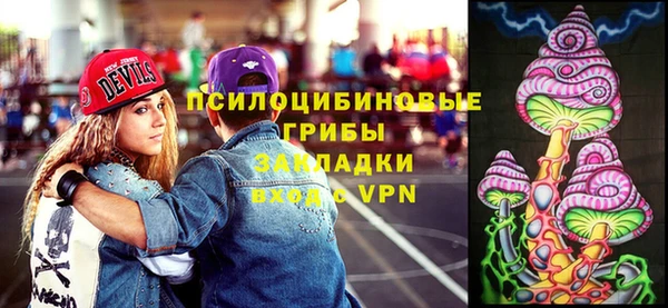 МДПВ Володарск