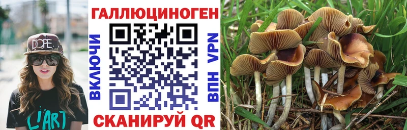купить наркотик  Лодейное Поле  Галлюциногенные грибы прущие грибы 